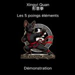 5 Poings des 5 éléments