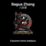 8 paumes mères statiques