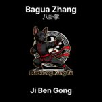 Ji Ben Gong